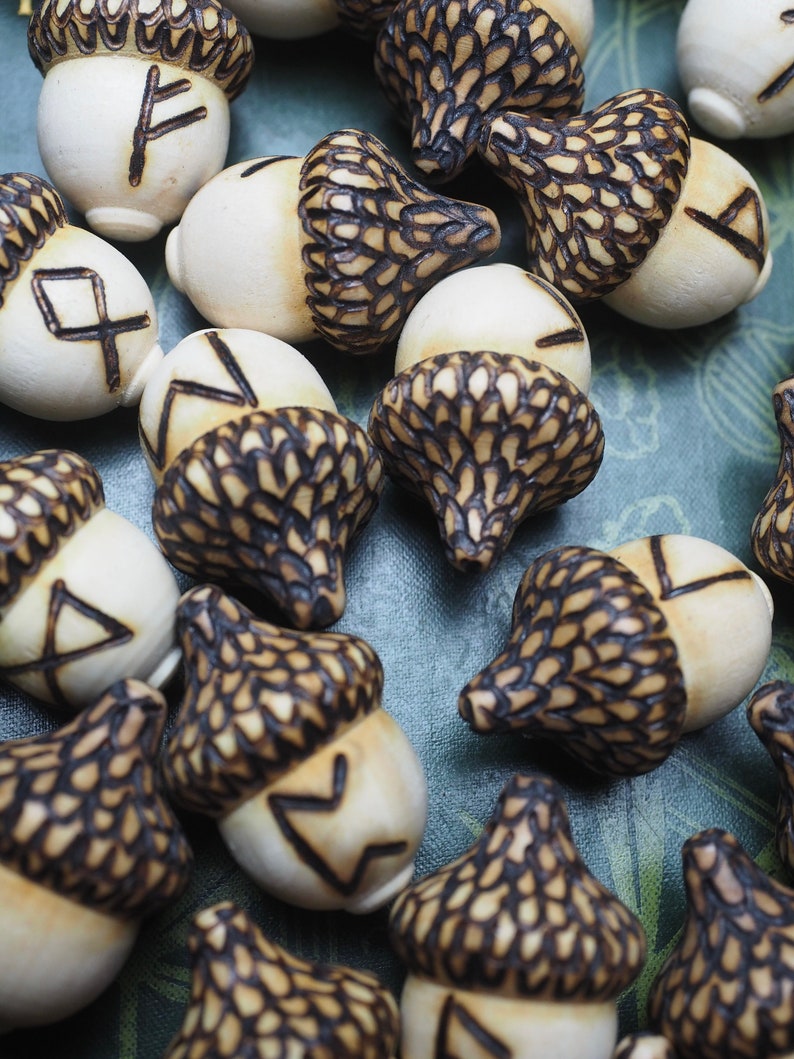 24 Elder Futhark Rune Acorns - With Bag & Information Sheet, Witchcraft ...