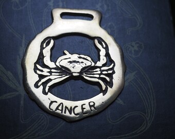 Vintage or Antique Cancer, Horse Brass - the Crab, Zodiac - Folk Magic, British, Pagan