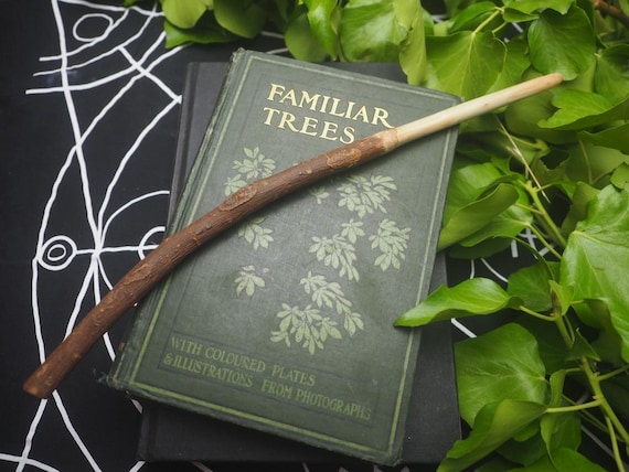 Rare English Field Maple ROOT Wood Wand - for Healing - Witchcraft