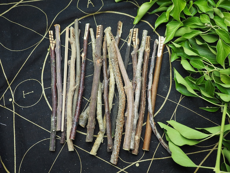 Long, Celtic Tree Ogham staves made with corresponding woods For Divination For Pagans, Wiccans, Druids, Witchcraft image 1