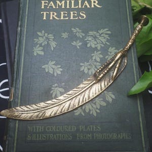 May include: A metallic gold-toned letter opener shaped like a bird feather with a textured quill and a small circular knob at the end. The object rests on a dark green hardcover book titled FAMILIAR TREES with gold lettering and leaf illustrations.