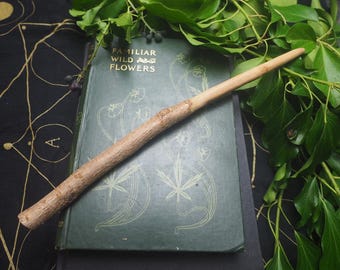 以下が含まれることがあります： 「Familiar Wild Flowers」と書かれた緑色の古書の上に、自然な風合いの木製の杖が置かれています。緑色のツタと黒い模様の背景が、このシーンを構成しています。