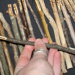 Long, Celtic Tree Ogham staves made with corresponding woods For Divination For Pagans, Wiccans, Druids, Witchcraft image 5