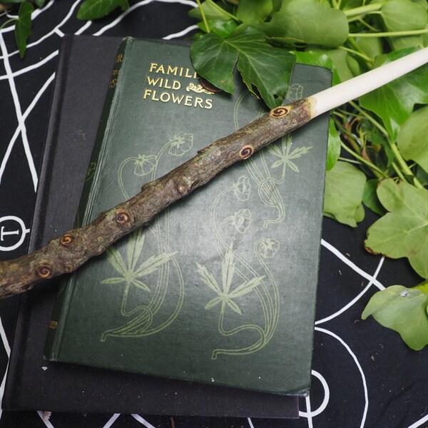 Cornish Holly Wood Wand  - For Meeting Challenges - Wicca, Witchcraft, Pagan, Magic, Ritual, Ogham tree