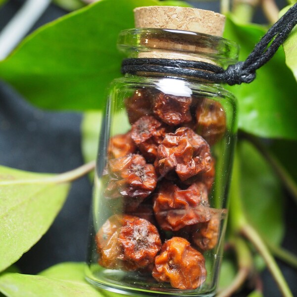 A Glass Vial Pendant of Rowan Berries for Travel  Protection - A Witch-Made Charm - Pagan, Wicca, Witchcraft