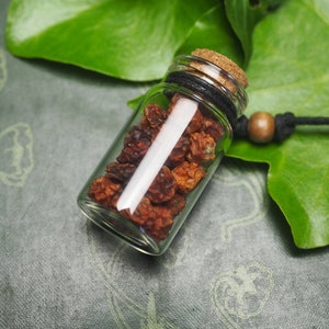 A Glass Vial Pendant of Rowan Berries for Travel  Protection - A Witch-Made Charm