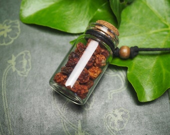 A Glass Vial Pendant of Rowan Berries for Travel  Protection - A Witch-Made Charm