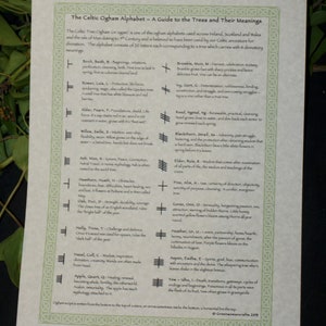 May include: A chart with a green border and white background, showing the Celtic Ogham alphabet with each letter corresponding to a tree and its meaning. The chart includes the name of the tree, the Ogham letter, and a brief description of the tree's meaning. The chart is titled "The Celtic Ogham Alphabet - A Guide to the Trees and Their Meanings".