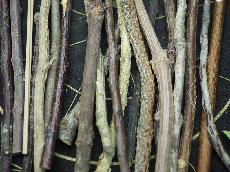 Long, Celtic Tree Ogham staves made with corresponding woods For Divination For Pagans, Wiccans, Druids, Witchcraft image 3