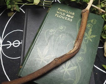 Knotted English Mistletoe Wood Wand -Magic - Love - Healing - Druid, Druidry Pagan, Wicca, Witchcraft