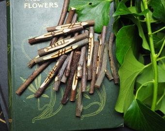 25 Avalon Apple Wood Celtic Tree Ogham staves with Bag  - Including Forfedha - Ogam Fews - Pagan, Witchcraft