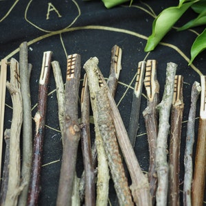 Long, Celtic Tree Ogham staves made with corresponding woods For Divination For Pagans, Wiccans, Druids, Witchcraft image 2