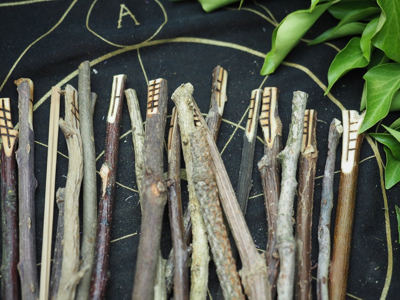 Long, Celtic Tree Ogham staves made with corresponding woods For Divination For Pagans, Wiccans, Druids, Witchcraft image 2