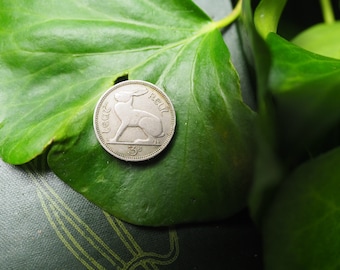 Old Irish 3d Hare Coin - Threepence - Spell-work, Magic, Fairy Offerings, witchcraft, Harp