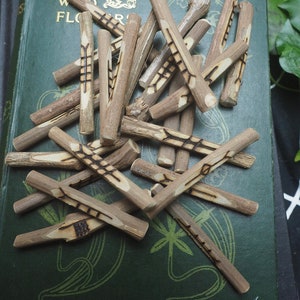 May include: A collection of wooden rune sticks with etched symbols, scattered on a dark green book. The book has gold lettering that reads "Familiar Wild Flowers". The runes are light brown with dark brown etched designs.