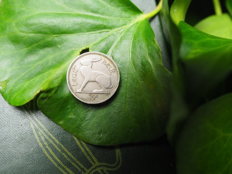 May include: A silver Irish coin with a hare or rabbit on the front. The coin is on a green leaf. The coin says "3d" and "Eire" on it.