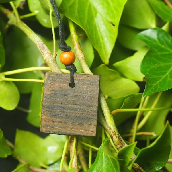 Ancient Irish Bog Oak Pendant: For Ancestral Work, Strength & Courage