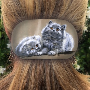 Grey Persian Kittens Feline Cat Art Hair Barrette Metal Lightweight Strong