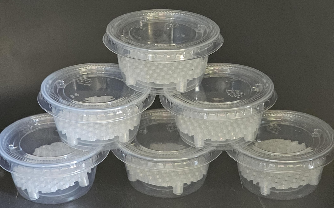 Corm Riser Corm/seedling Propogation Cups With Risers - Etsy
