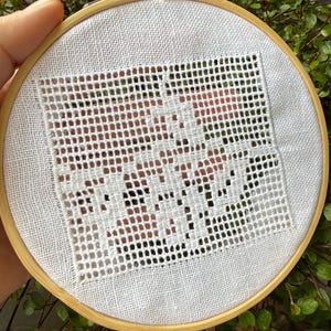 Può includere: Un progetto di ricamo a punto croce bianco in un telaio di legno. Il disegno presenta un motivo traforato dettagliato su tessuto bianco. Il telaio è tenuto contro uno sfondo di fogliame verde e fiori rossi.