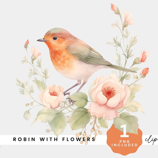 Watercolor Robin Transparent PNG, Watercolour Bird Clipart, Cute Clip Art, Woodland Forest Animals, Birds, Instant Digital Download file