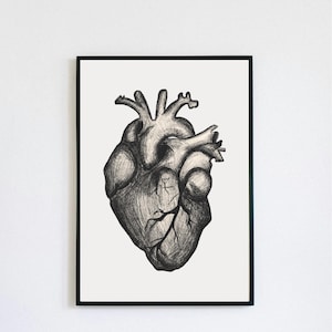 Vintage Anatomical Heart Poster sketch - Medical Art Print