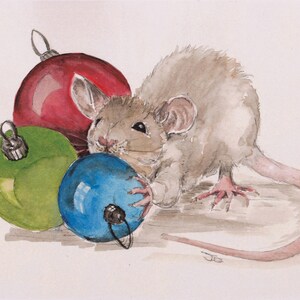 Grußkarten -Maus Unfug. 12 cm quadratische Karten