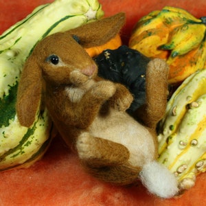 May include: A brown felt rabbit with a white tail, nestled among gourds of various shapes and colors. The gourds are green, yellow, and orange.