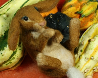 Tutorial Rabbit Intermediate Needle Felting