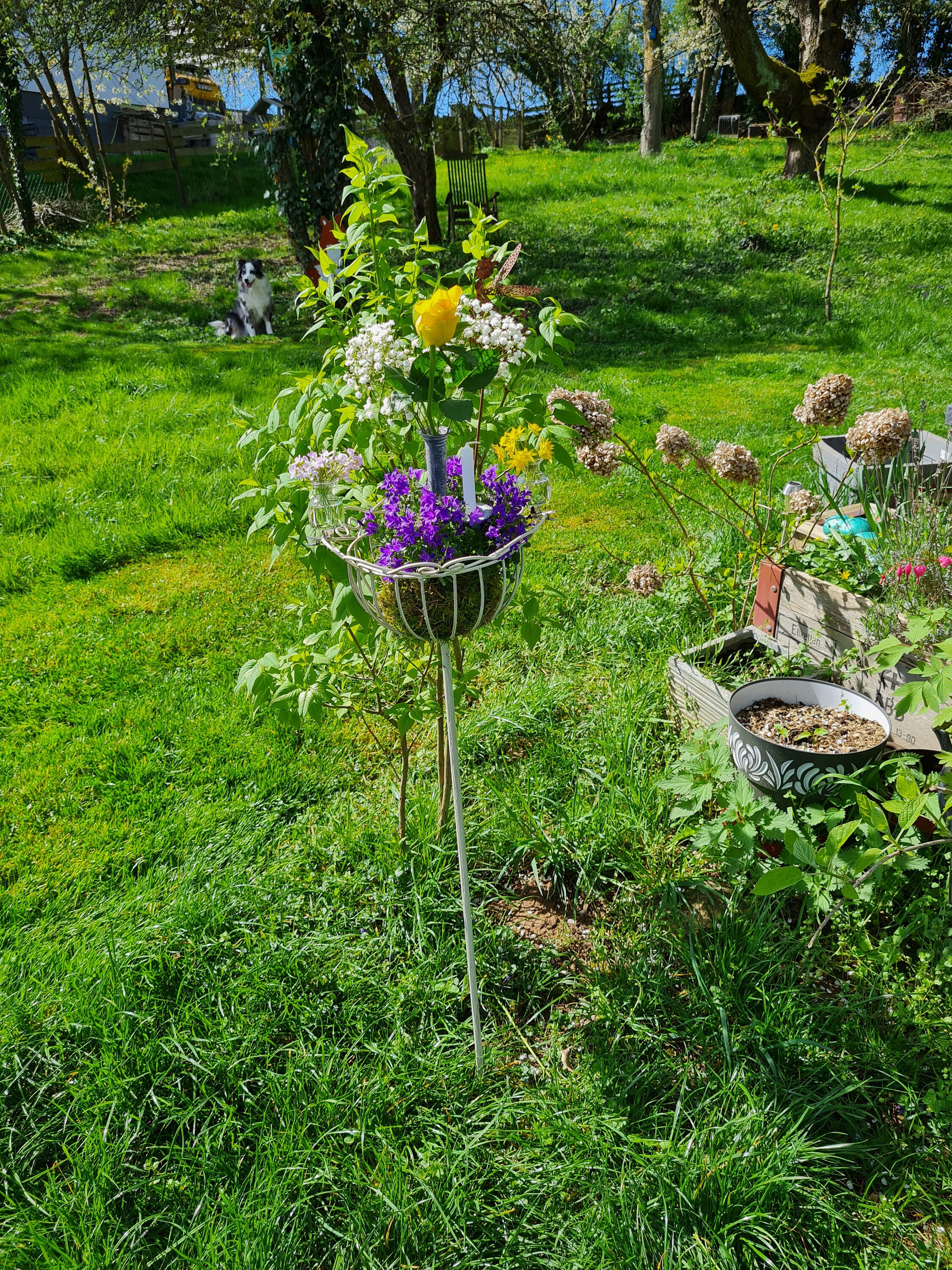 Korb am Stab, Blumentopf, Blumenstab, Blumenkorb, Gartenstecker - Etsy.de