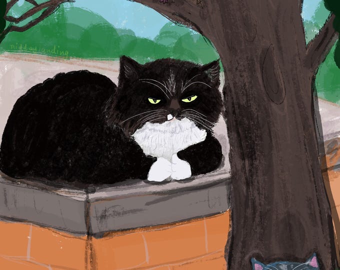 Grumpy & Sassy Cats Postcard: Illustration Art Print, Cat Lover Gift