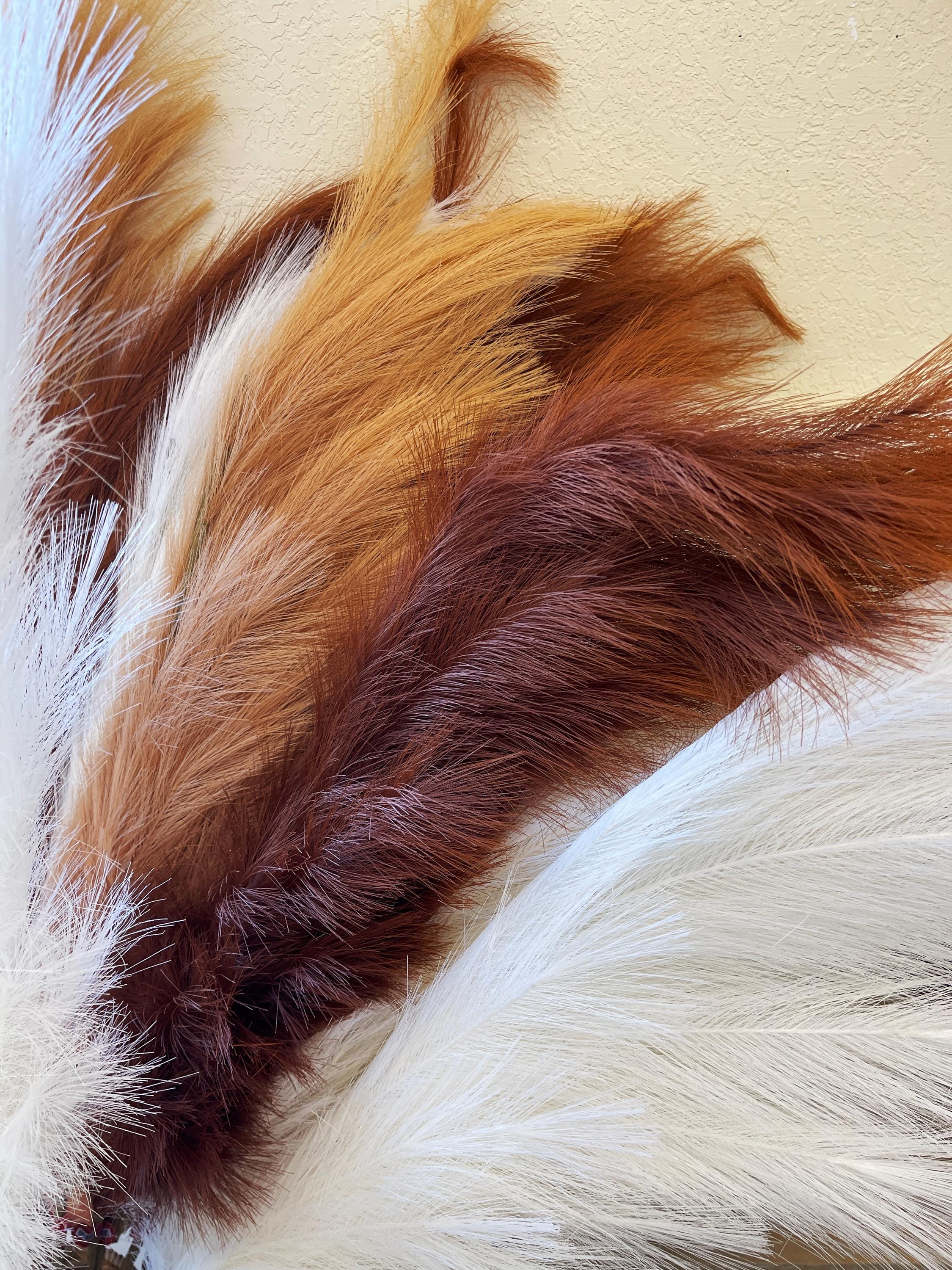 【良好品】 Brown Feather Grass - Etsy ギター