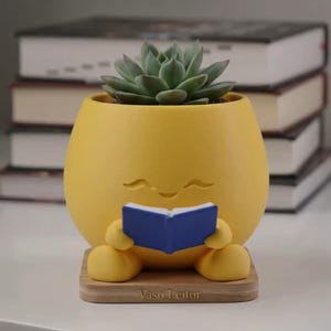 May include: A yellow, rounded planter featuring a sculpted character with a smiling face holding a small blue book. The planter sits on a square wooden base with the text "Vaso Leitor" engraved on the front, and contains a green succulent plant.