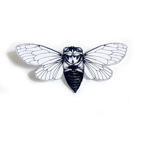 Cicada insect brooch, cicada pin