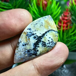 Puede incluir: Una piedra preciosa de ópalo dendrítico en forma de lágrima con una base de color blanco crema, intrincadas inclusiones negras en forma de helecho y sutiles manchas de color amarillo dorado en la superficie pulida, mostrando patrones minerales naturales.