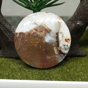 Puede incluir: Una piedra redonda y pulida con una mezcla de colores. La mitad superior es blanca con vetas marrones y rojas, que se transforman en una base marrón oscura. La piedra tiene una superficie lisa y reflectante, mostrando patrones naturales.