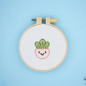 Puede incluir: Un bastidor de bordado de punto de cruz con un diseño de suculenta. La suculenta es verde y la maceta es rosa con una cara sonriente. El bastidor es de madera y está sobre un fondo azul claro.