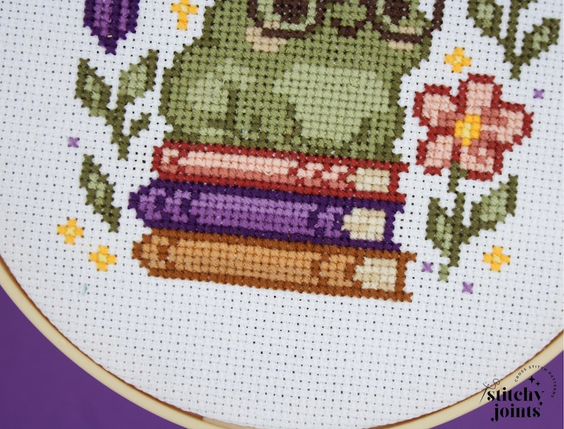 May include: Cross-stitch embroidery of a green frog wearing glasses, sitting atop a stack of books. The design includes a pink flower, leaves, and small yellow stars. The embroidery is set in a wooden hoop against a white background.