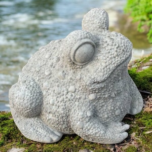 May include: A detailed, light gray frog statue with a textured surface. The frog is sitting on a bed of green moss, with a blurred background of water and greenery. The statue has large, round eyes and a bumpy skin texture.