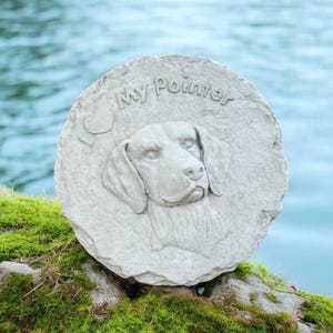 Pointer dog rock Dog memorial sculpture, Concrete rock statue, Pointer dog breed, Pet sympathy, Dog home decor, Outdoor pet rock