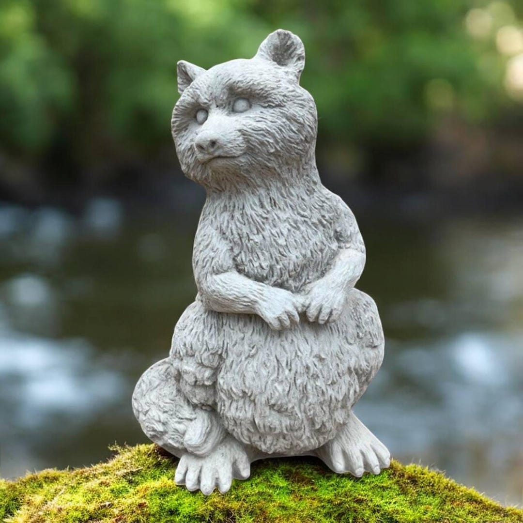 Standing Raccoon 16
