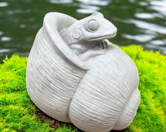 Frog in shell 6" Concrete frog figurine, Beton shell with frog, Animal home decor, Frog lover gift, Animal art, Sea shell sculpture