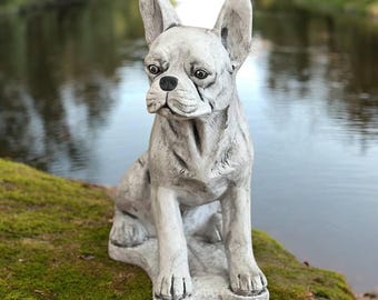 Detailed boston terrier 15" Concrete dog statue, Sitting boston terrier, Dog memorial decor, Boston terrier dog breed, Pet figurine