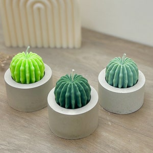 May include: Three green cactus-shaped candles in concrete holders. The candles are different shades of green and are arranged in a row on a wooden surface.
