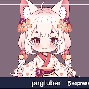 PNGTuber Model - Premade PNGTuber Avatar - Chibi Girl PNGTuber - Chibi Girl 001