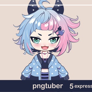 PNGTuber Model - Premade PNGTuber Avatar - Chibi Girl PNGTuber - Chibi Girl 002