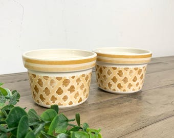 May include: Two ceramic bowls with a cream-colored base and a repeating pattern of tan diamonds. The rims have a tan and gold stripe design. The bowls are on a wooden surface with green foliage in the foreground.