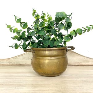 May include: A round brass pot with two side handles containing a faux green eucalyptus plant. The metal vessel has a smooth, weathered finish with visible patina and a wide opening, holding the leafy stems upright in a simple arrangement.