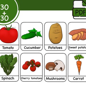 Montessori cards, Flash cards, Learning cards, PDF file, Vegetable cards, For children, art cards