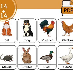 Montessori cards, Flash cards, Learning cards, PDF file, Farm animals cards, For children, art cards, Animals for children